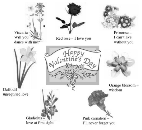Happy Valentine's day