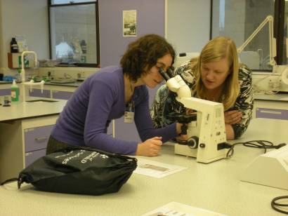 Studying evidence under the microscope. Studying evidence under the microscope.